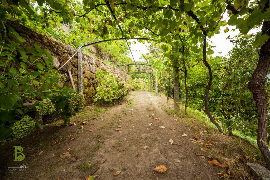 Quinta Da Bouca - Agroturismo Pacos de Gaiolo Номер фото